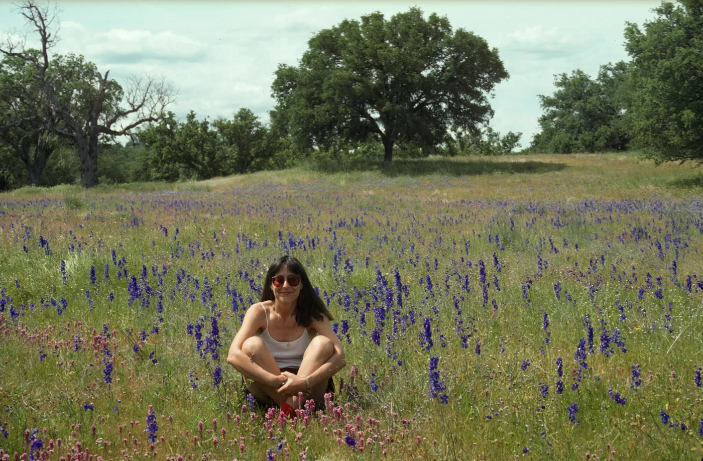 Delphinium patch