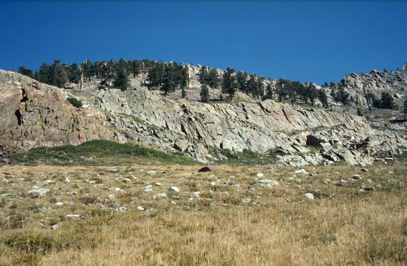 Mineral King