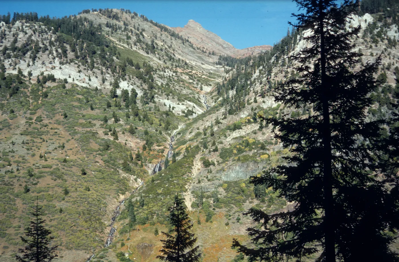 Mineral King