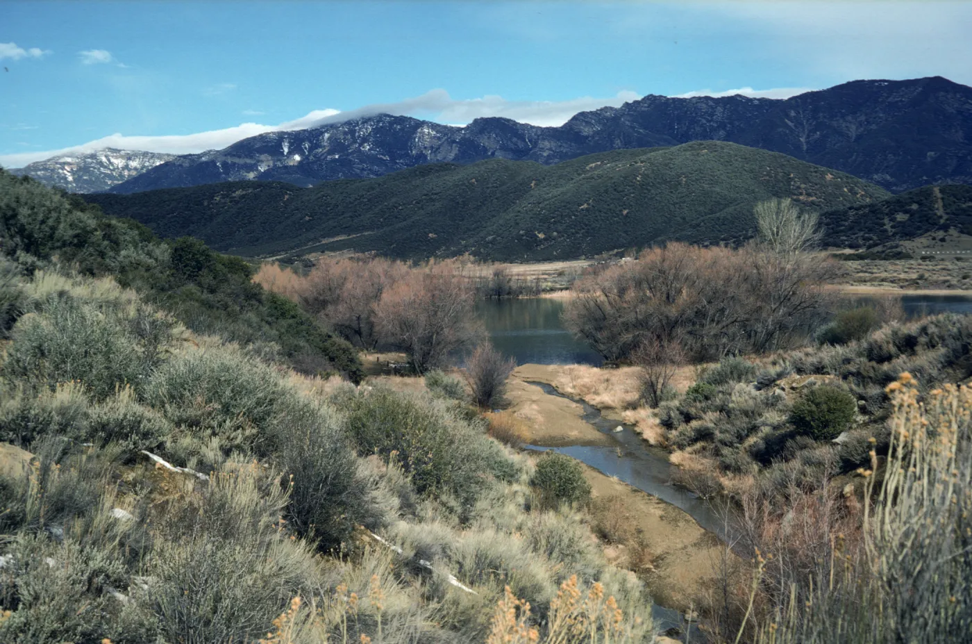 Rose Valley area
