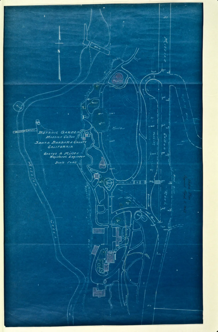 Lockwood de Forest drawing of Meadow area