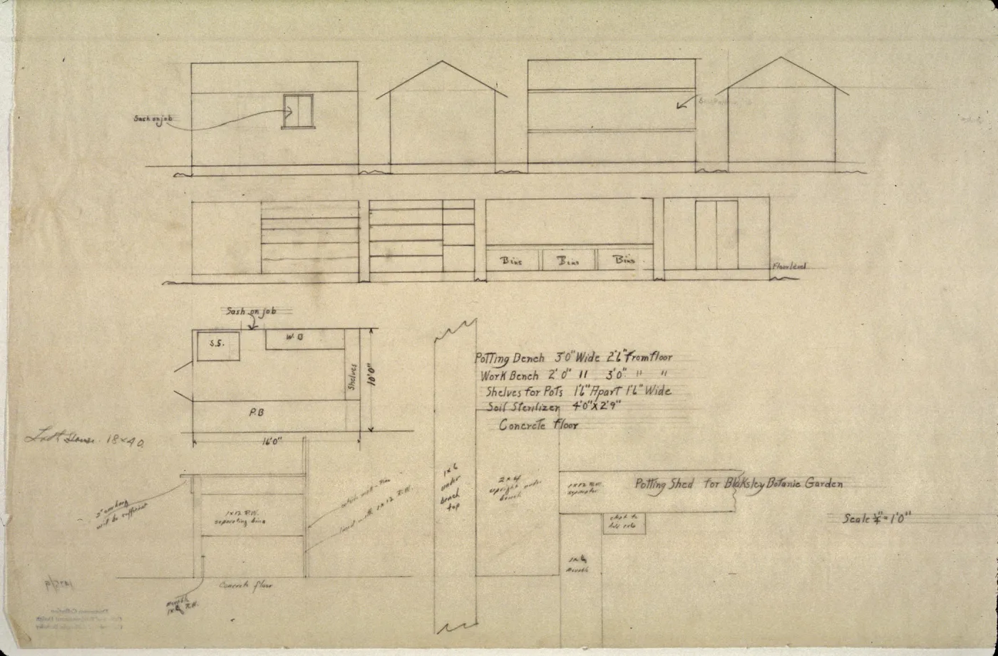Lockwood de Forest drawing 'Potting Shed for Blaksley Botanic Garden'