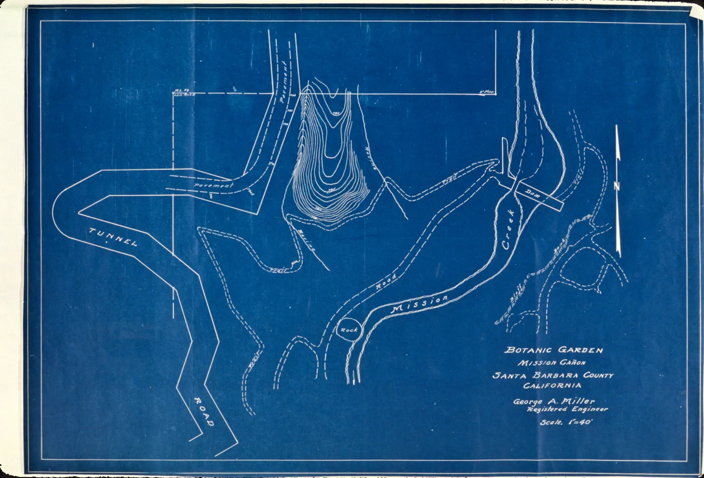 Lockwood de Forest drawing for Pritchett Trail