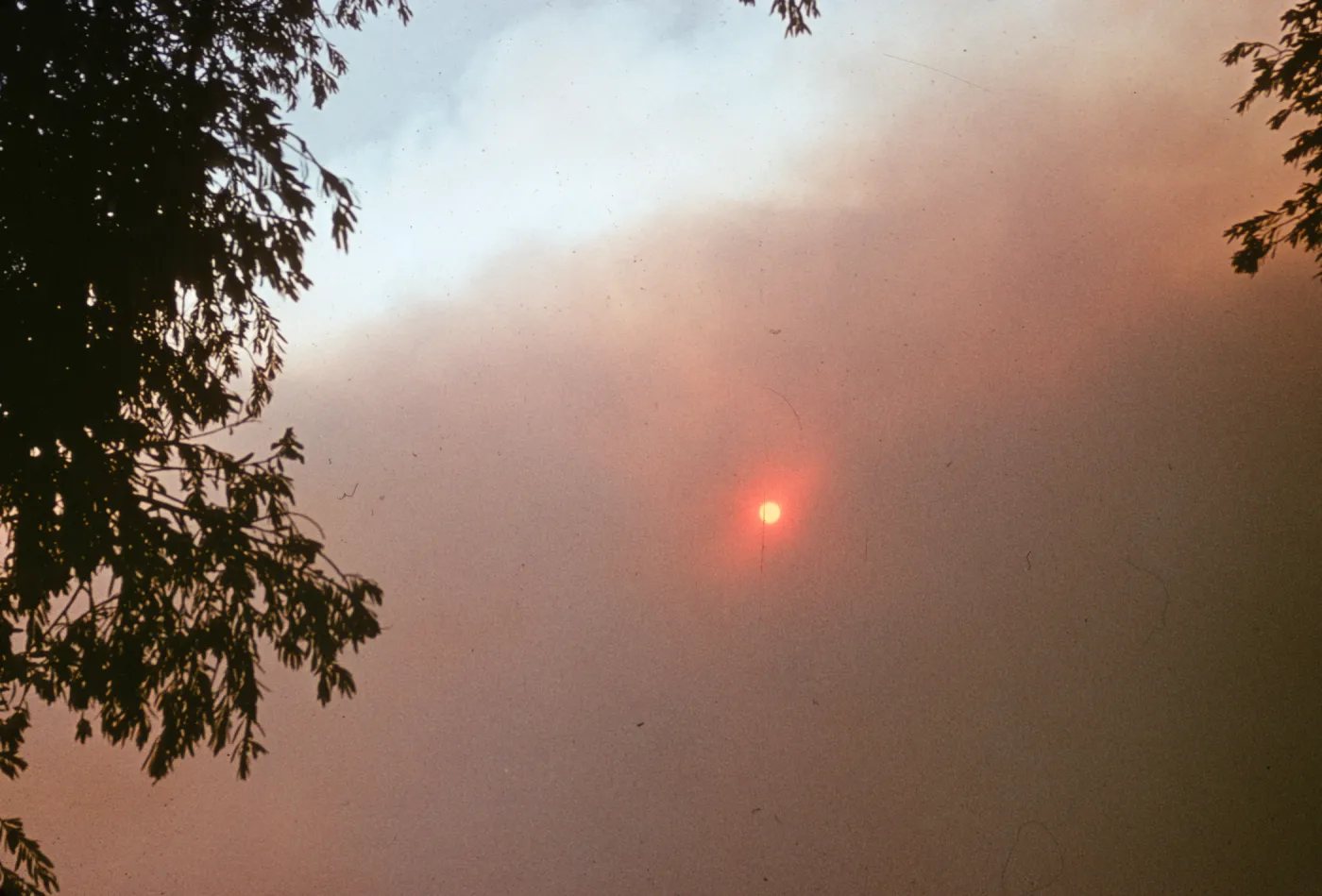 Coyote Fire, sun through the smoke
