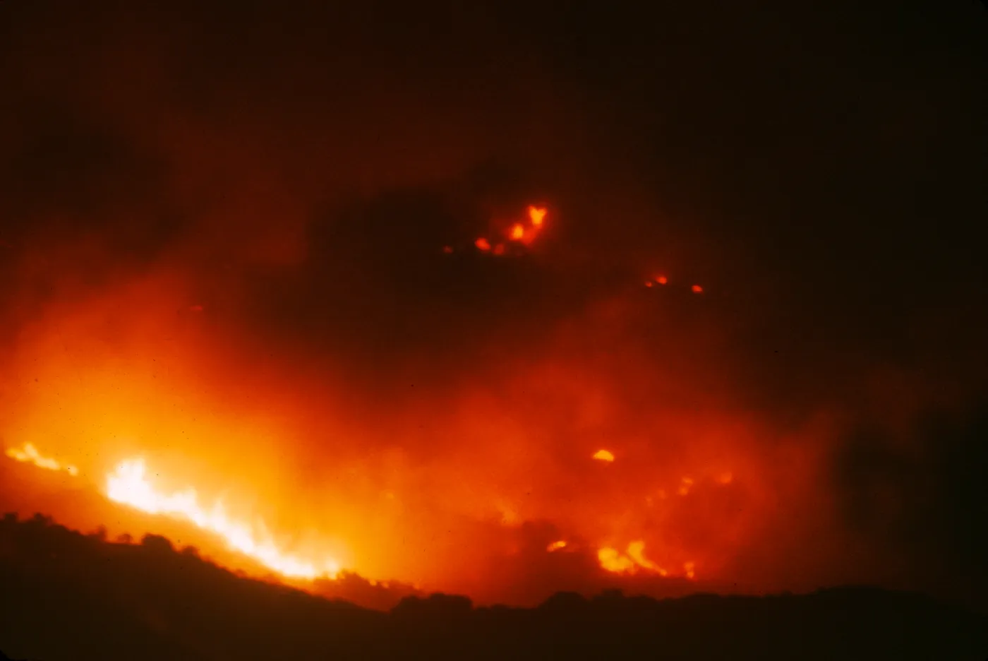 Coyote Fire