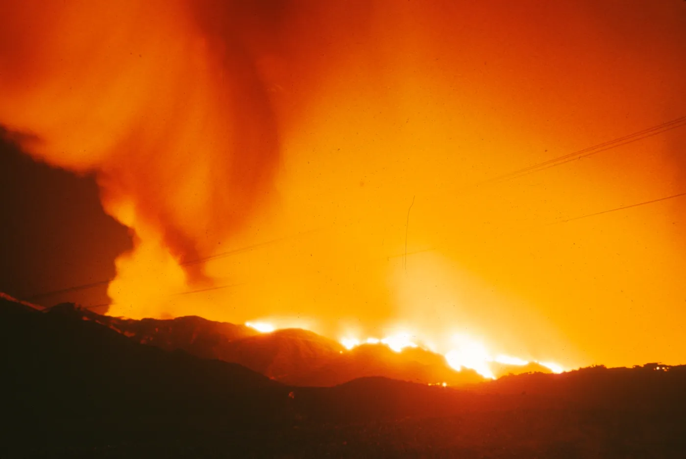 Coyote Fire