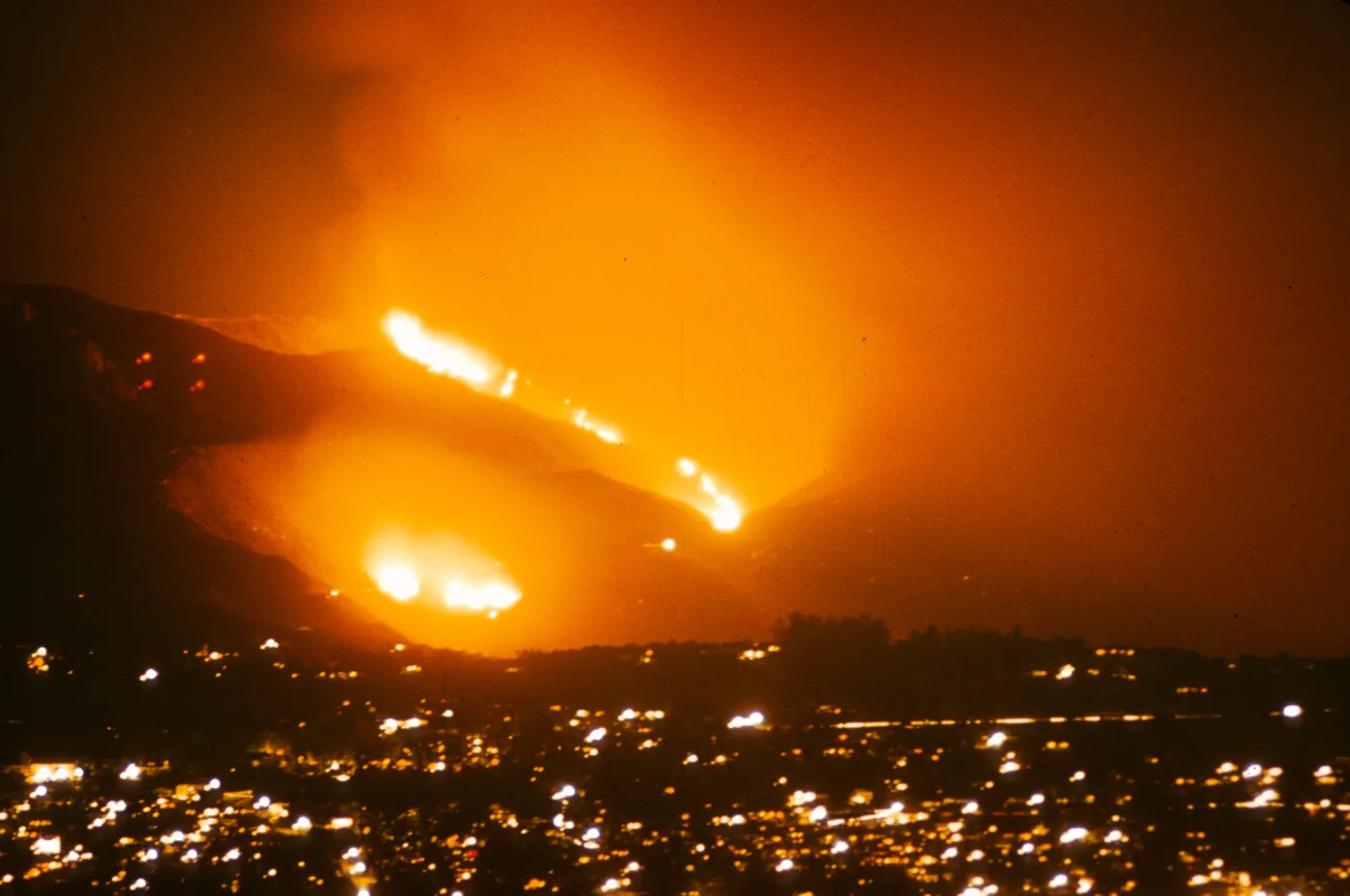 Coyote Fire