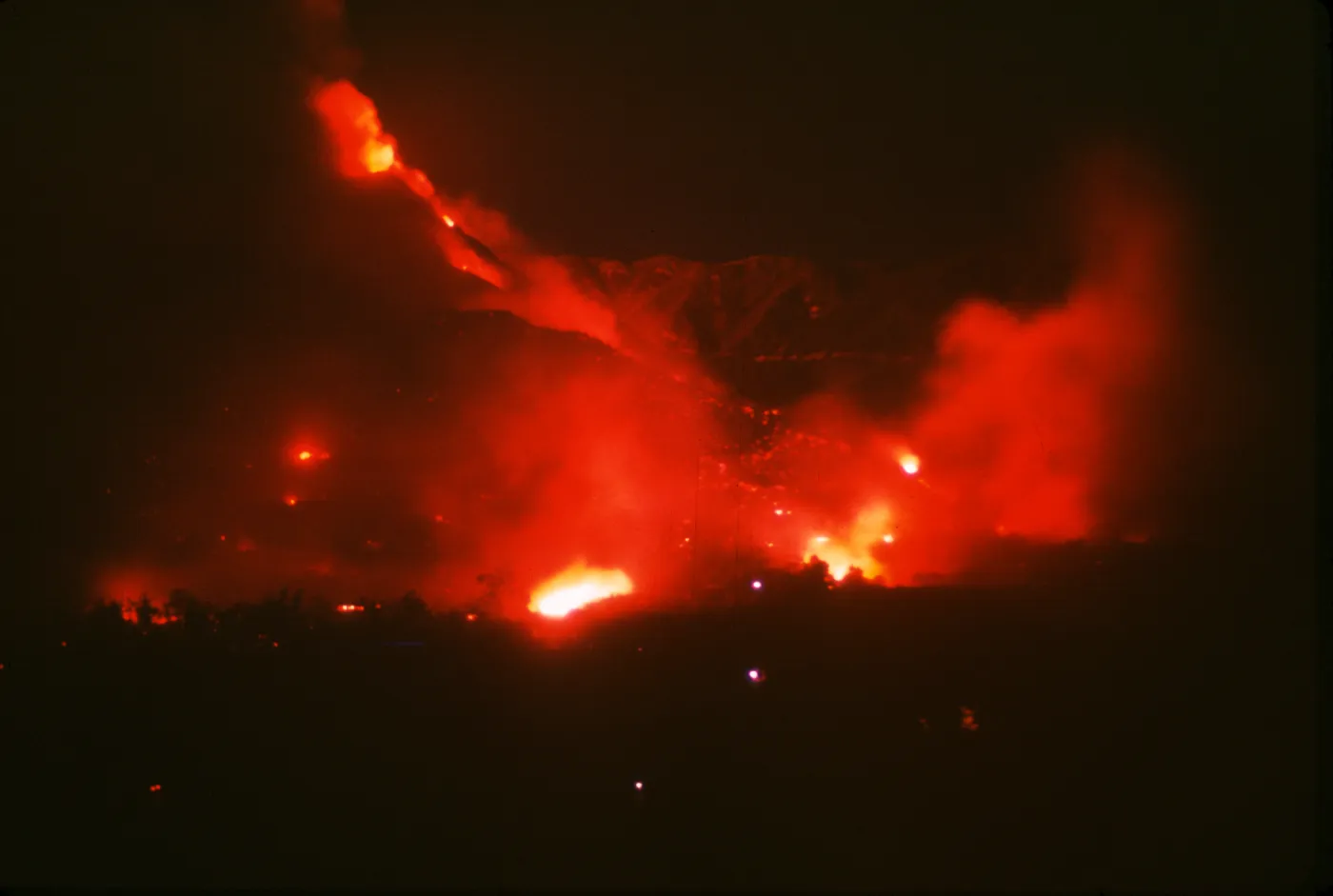Coyote Fire