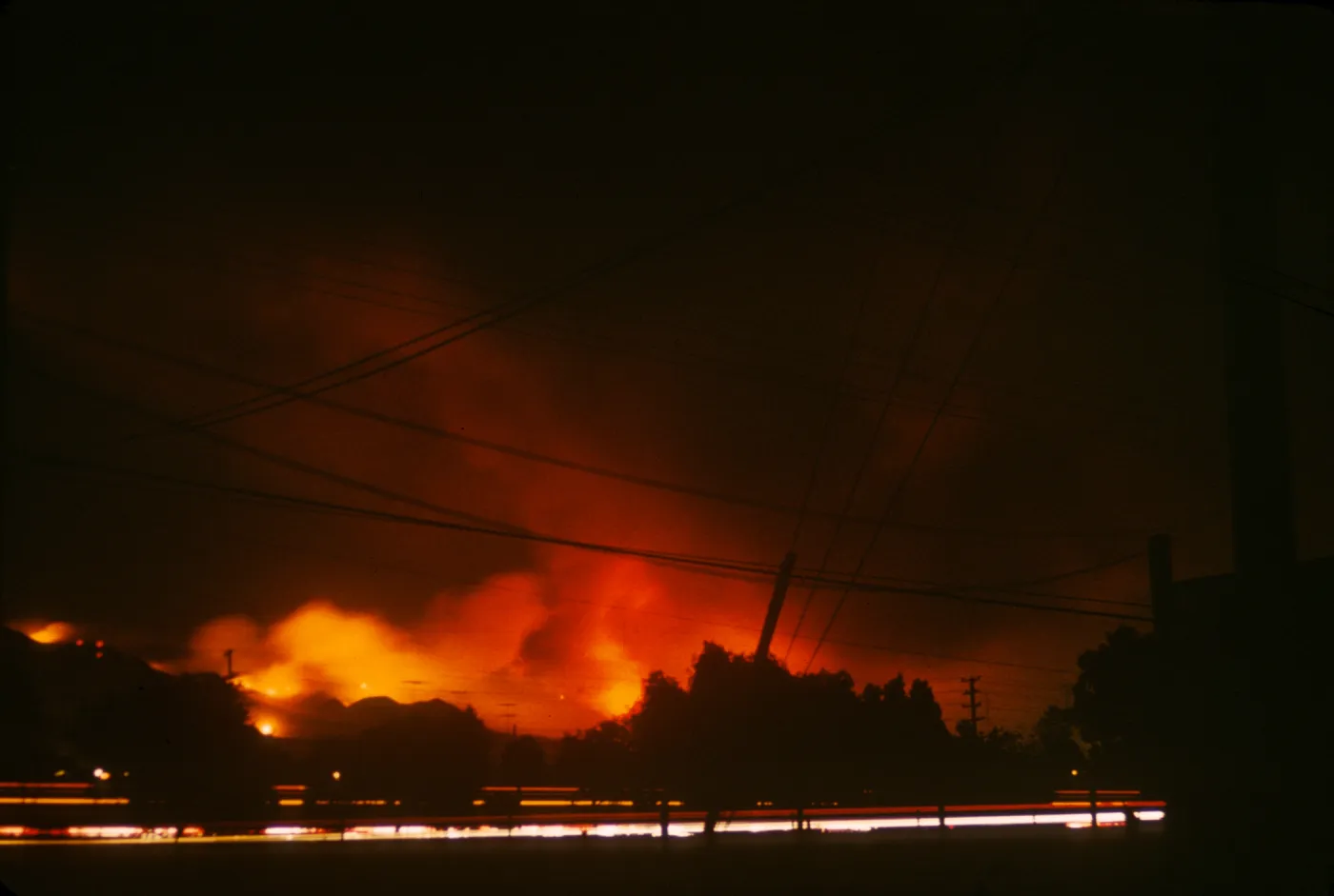 Coyote Fire