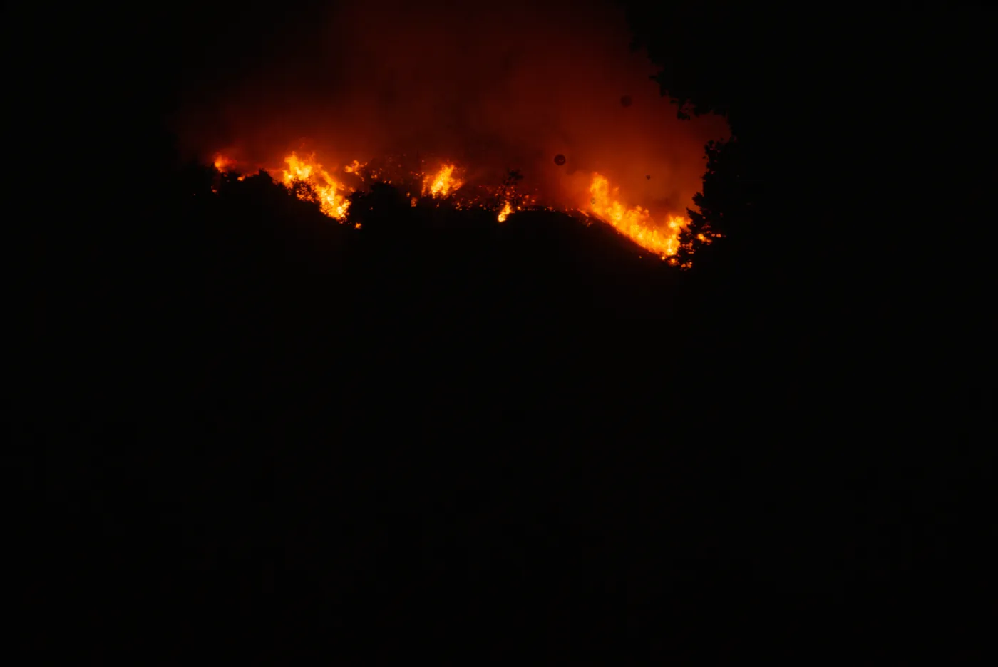 Coyote Fire