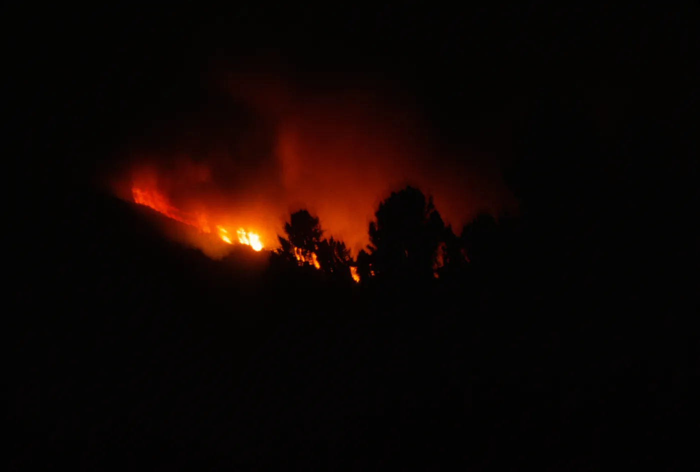 Coyote Fire, as seen from Santa Barbara Botanic Garden, at night