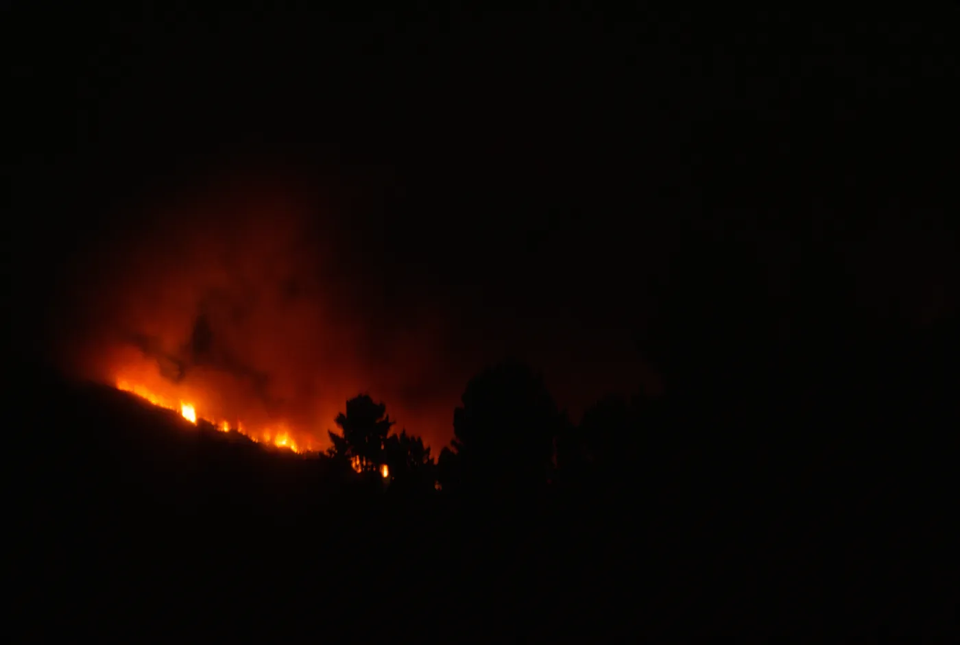 Coyote Fire, mountains above the Santa Barbara Botanic Garden, second night