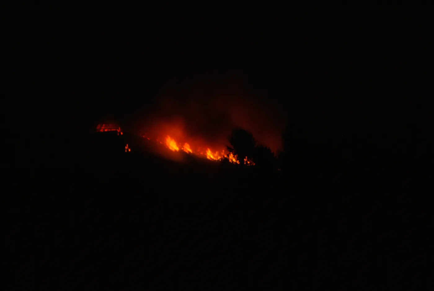 Coyote Fire, mountains above the Santa Barbara Botanic Garden, second night