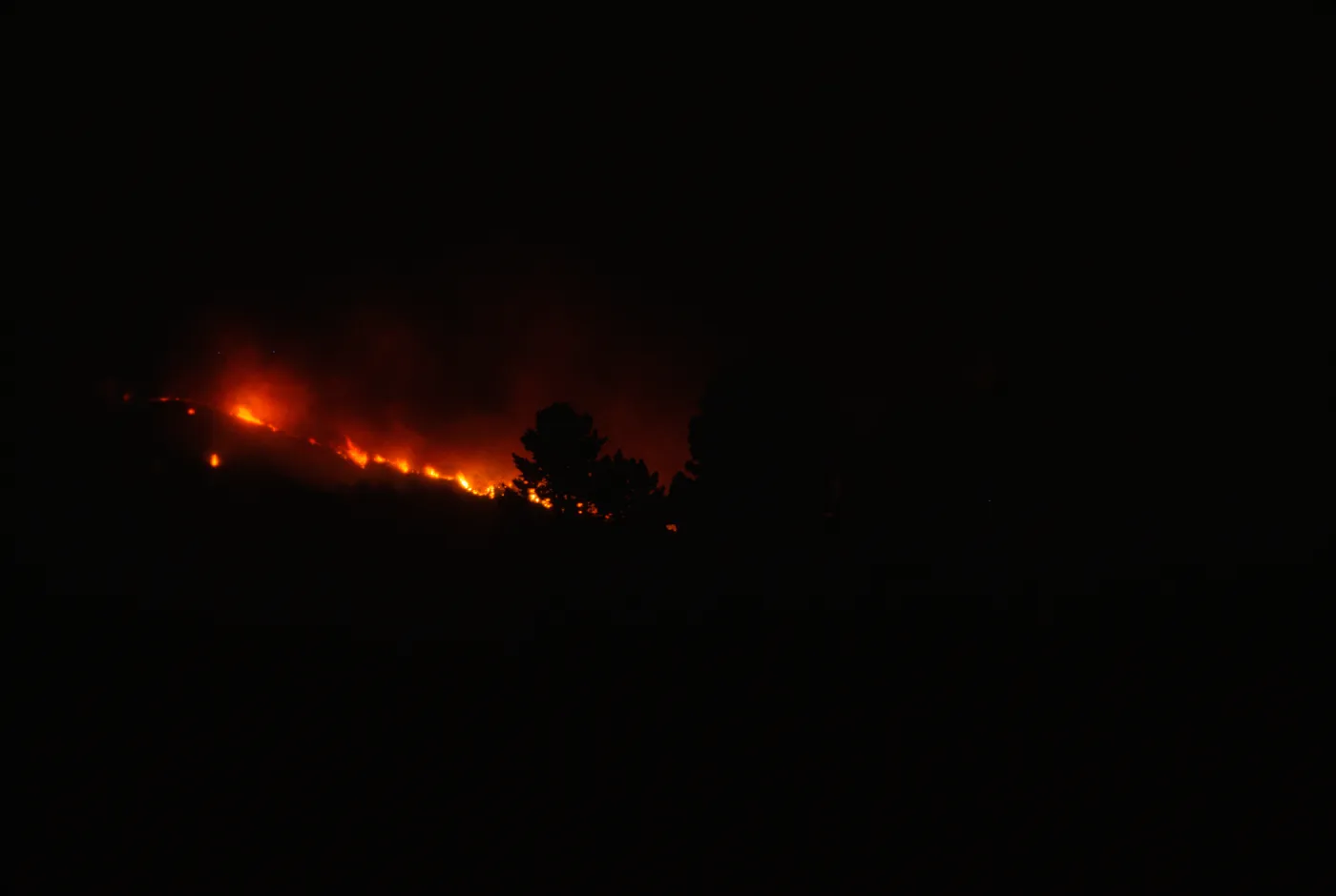 Coyote Fire, mountains above the Santa Barbara Botanic Garden, second night