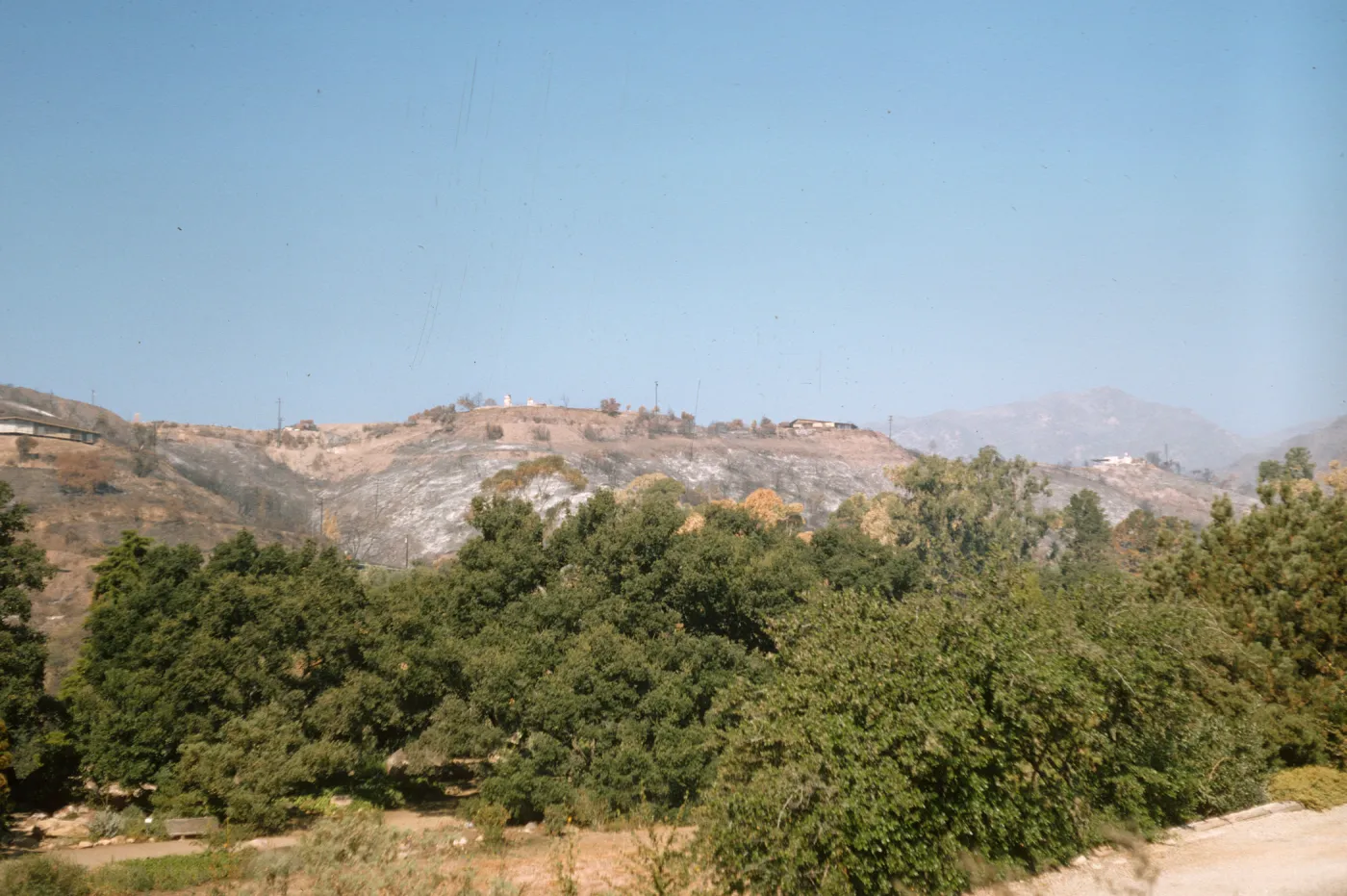 Coyote Fire aftermath, burned ridge west of Santa Barbara Botanic Garden