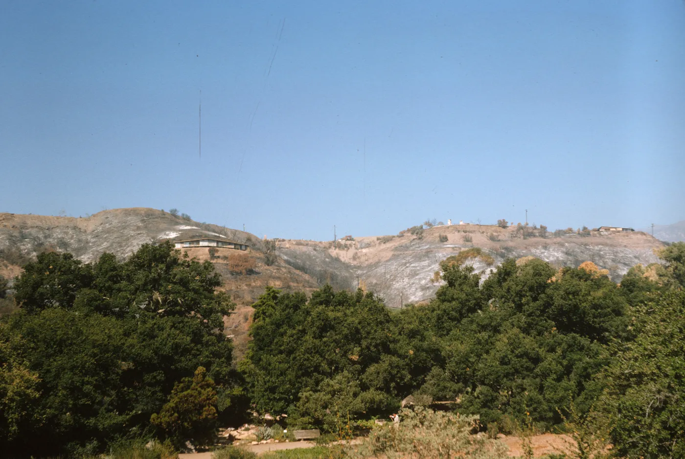 Coyote Fire aftermath - burned ridge west of Santa Barbara Botanic Garden