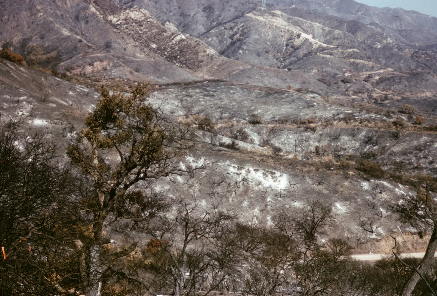 Coyote Fire burn on the Santa Ynez Mountains