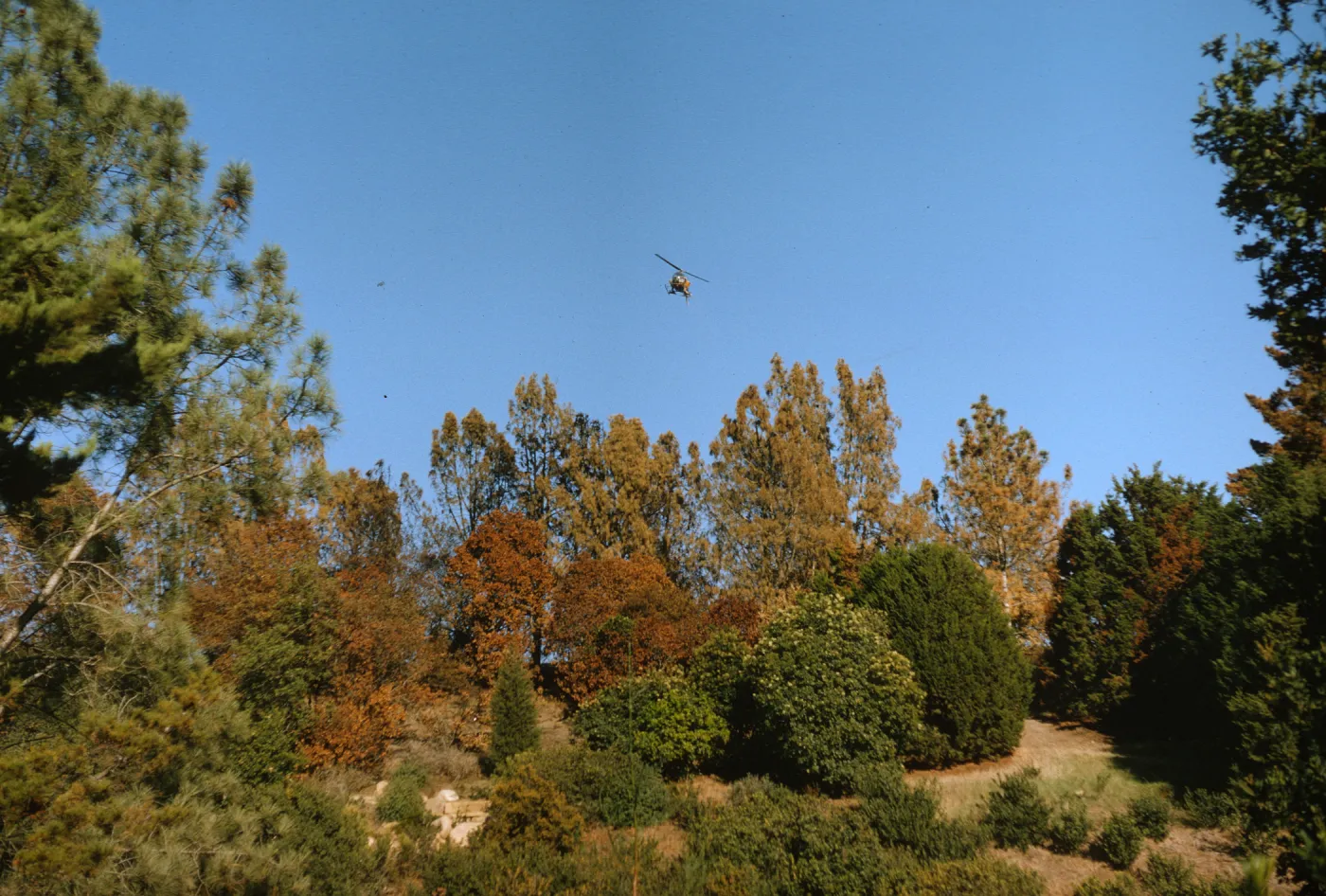 Helicopter seeding near Botanic Garden after Coyote Fire