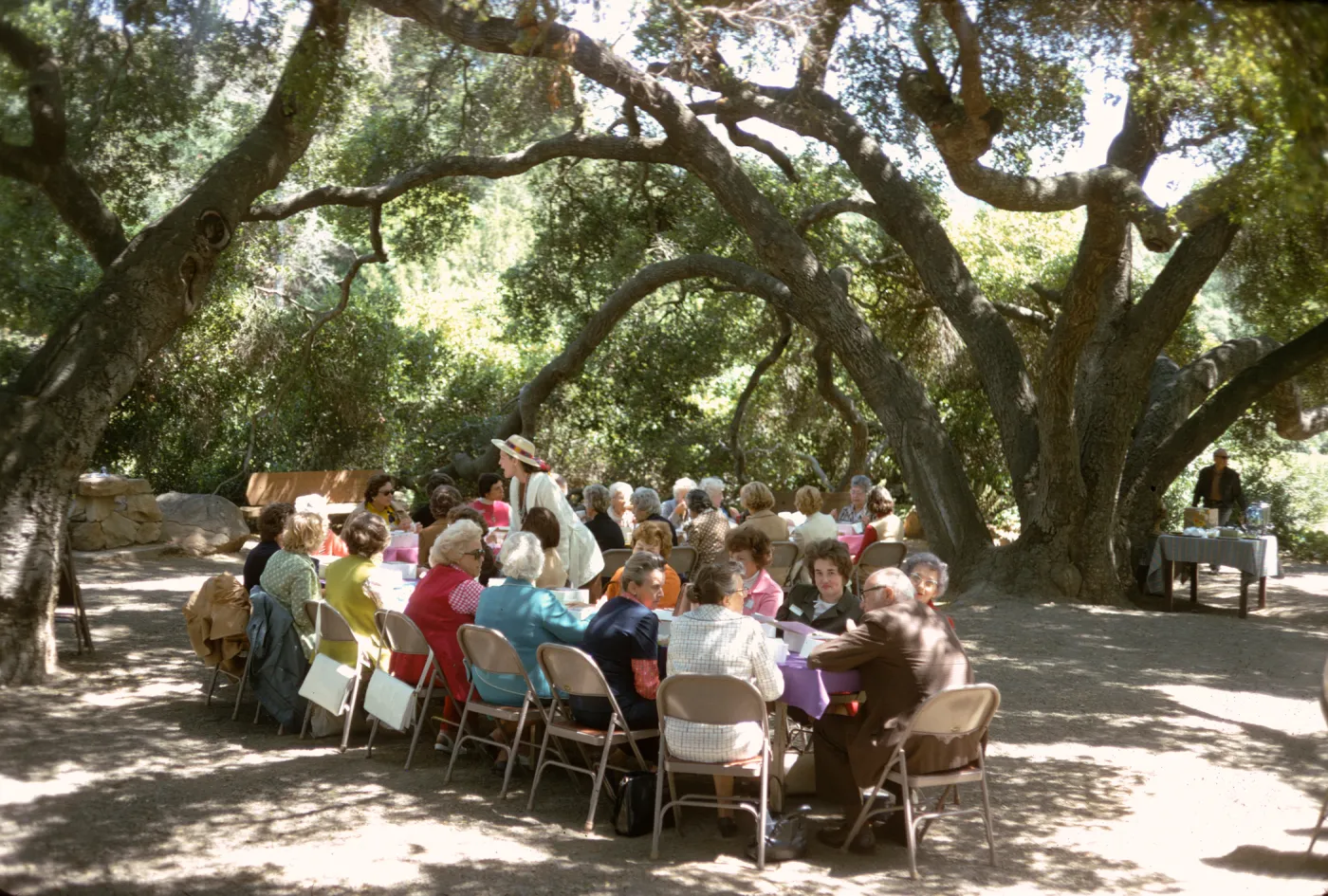 Approximately two dozen well-dressed people sit in folding chairs at 2 large tables set up in the shade of two large, split-trucked trees.