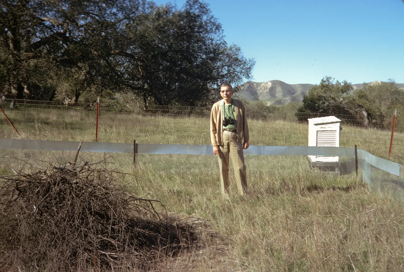 A man khaki colored pants and sweater with a set of binoculars around his neck stands in a field crossed by wire fencing. A large pile of sticks is on the ground to his right, and a white, wooden box  is behind, to his left. 
