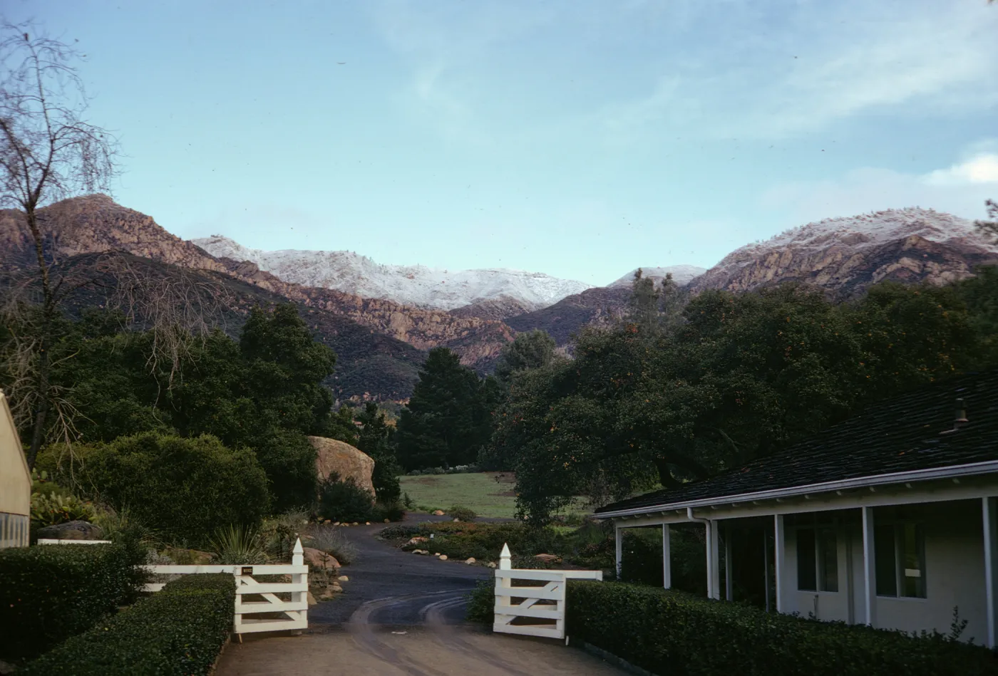 A dark, gravel road lined by neatly trimmed, squared hedges passes by a white, single-story building with a dark, shingle roof and past an open, white fence. The road continues past the fence, curving between bushes, trees, and two fields of flowers and grasses, and a large boulder. Rocky mountains dominate the background. 