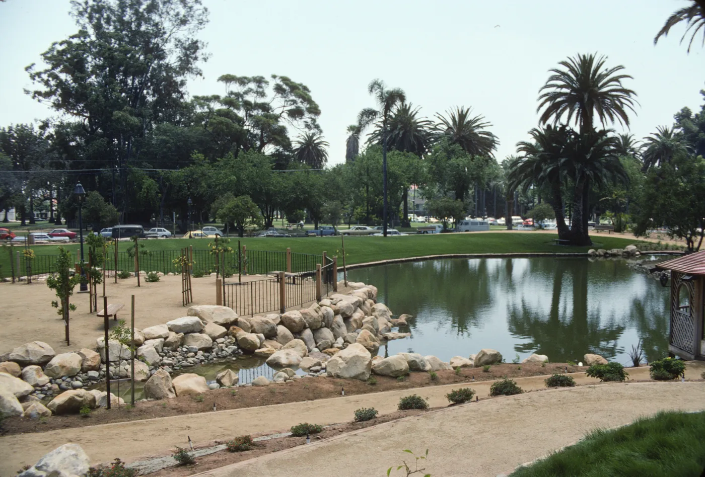A park featuring paths separated by small bushes in beds of soil. A fenced area lined with large stones containing several young trees on trellises juts into a large pond. 