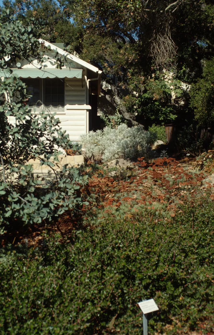 Home Demonstration Garden, Cottage