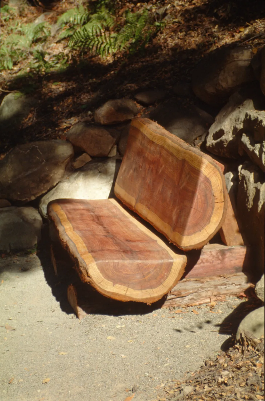 Redwood Section, new wood bench