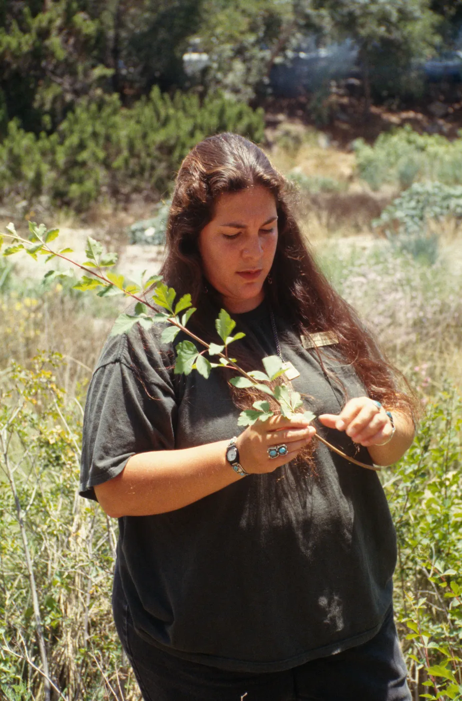 lecturer for SBBG 'Indian choice of plants'
