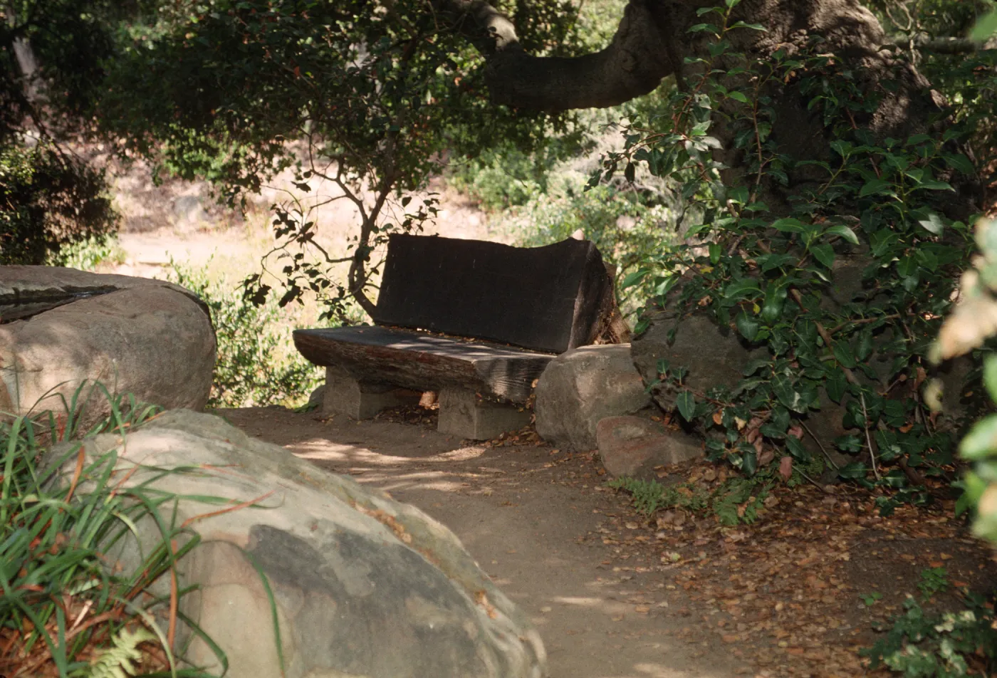 wood bench above the Arroyo Section