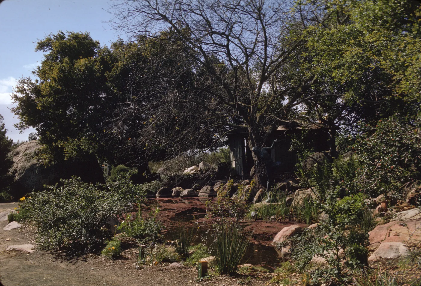 SBBG, Pond and Information Kiosk
