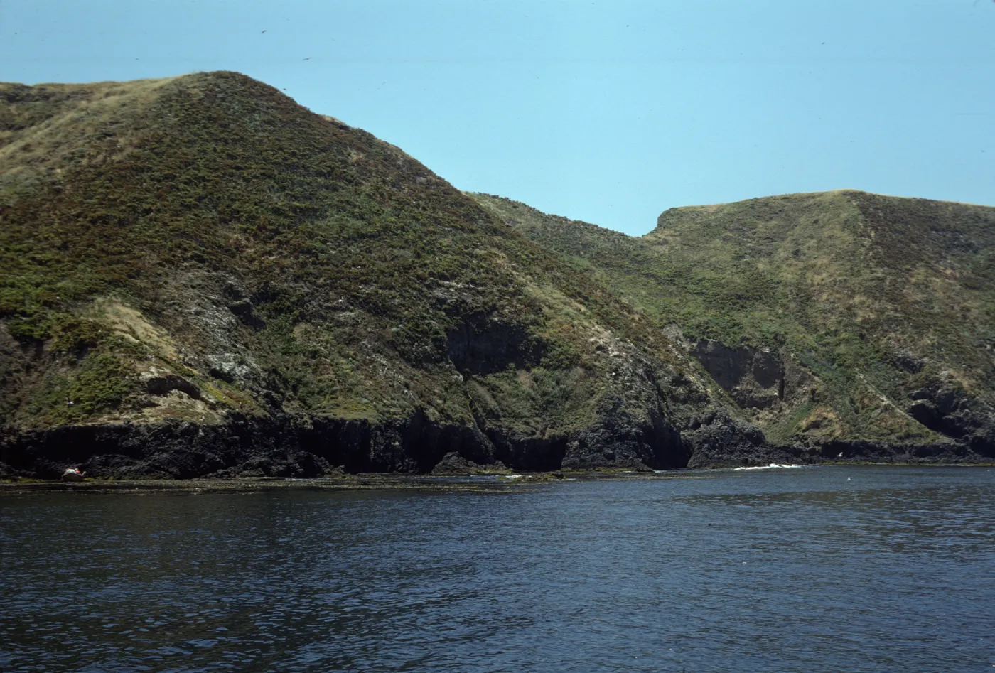 Middle Anacapa Island, just West of Sheep Ranch