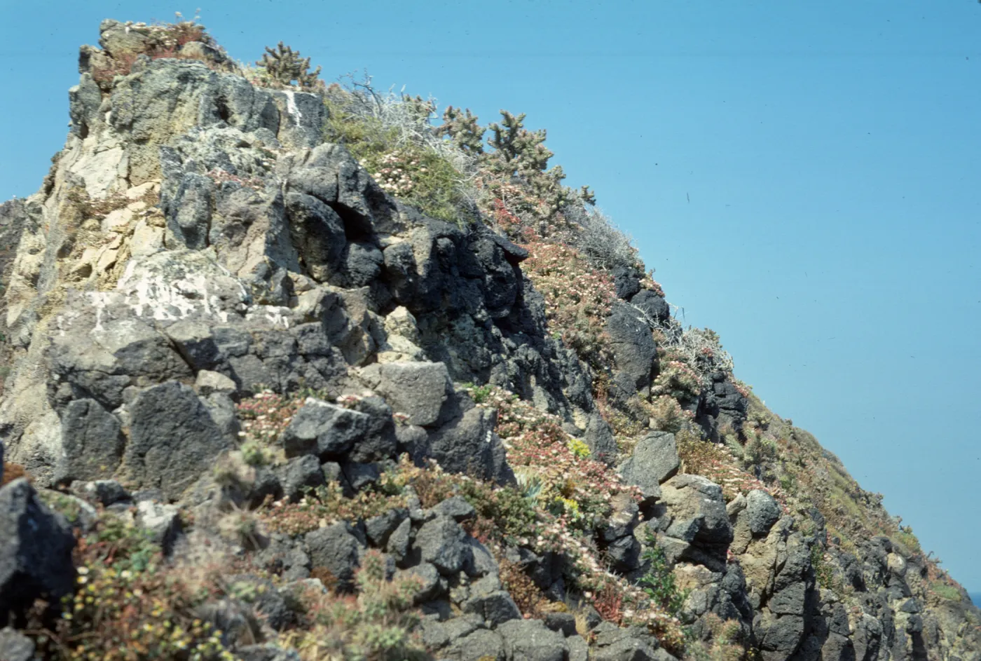 Middle Anacapa Island, South Knife Edge