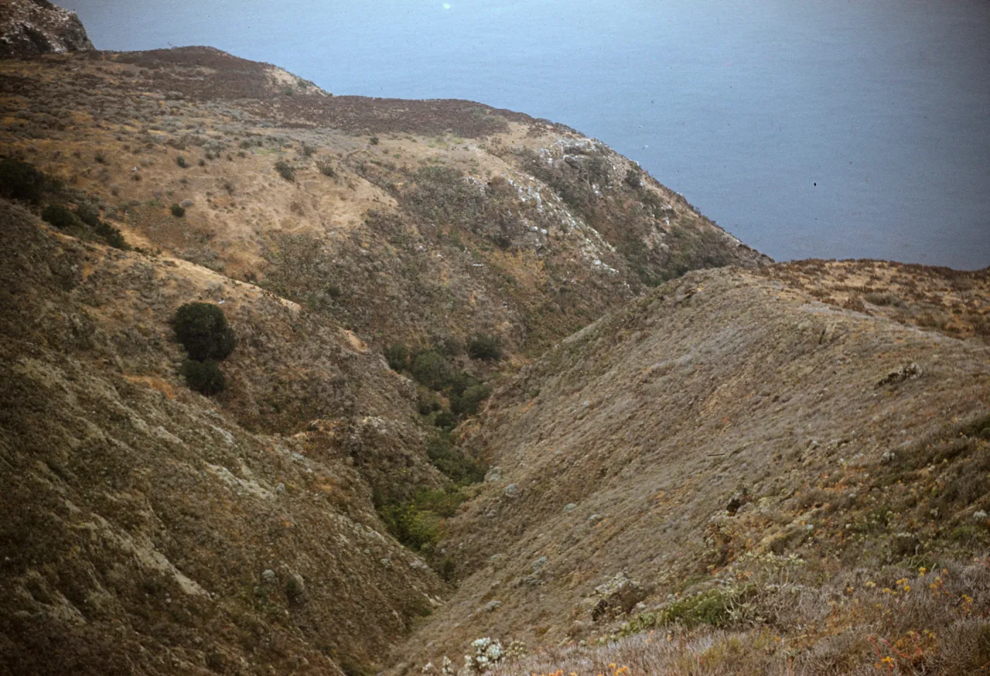 Canyon on north side of West Anacapa Island