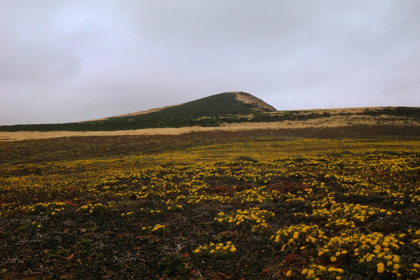 Santa Barbara Island