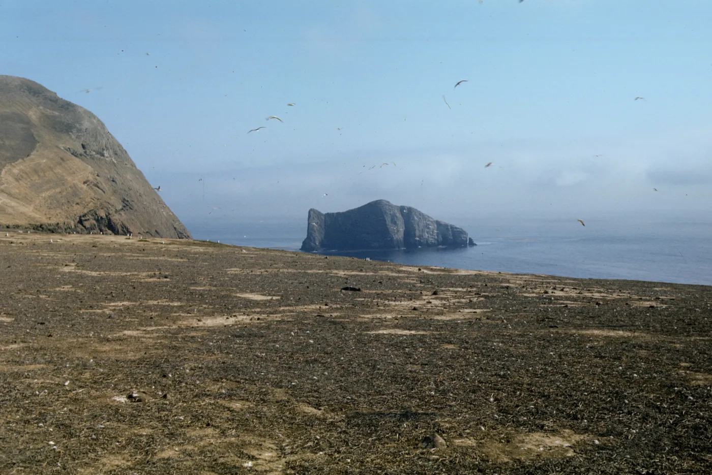Sutil Island from Santa Barbara Island
