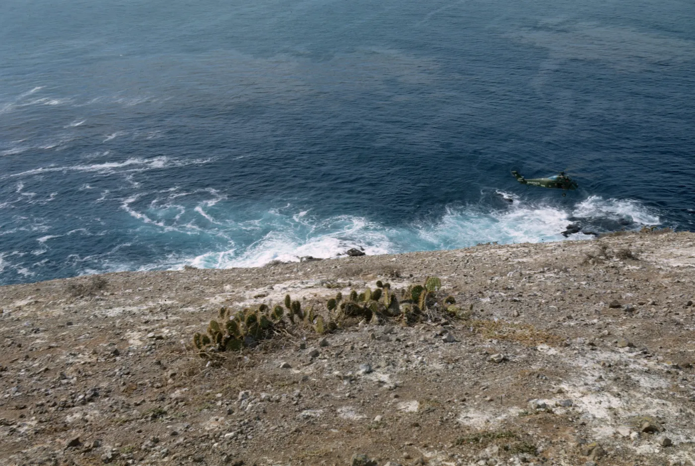 Helicopter over Sutil Islet, Santa Barbara Island (Prickly-pear)