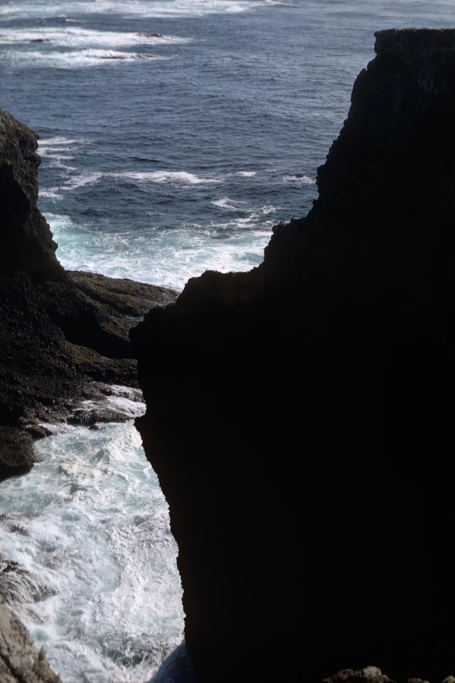 Santa Barbara Island, Webster Rock
