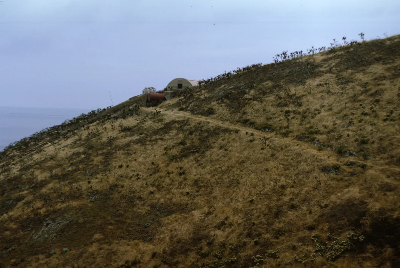 Santa Barbara Island