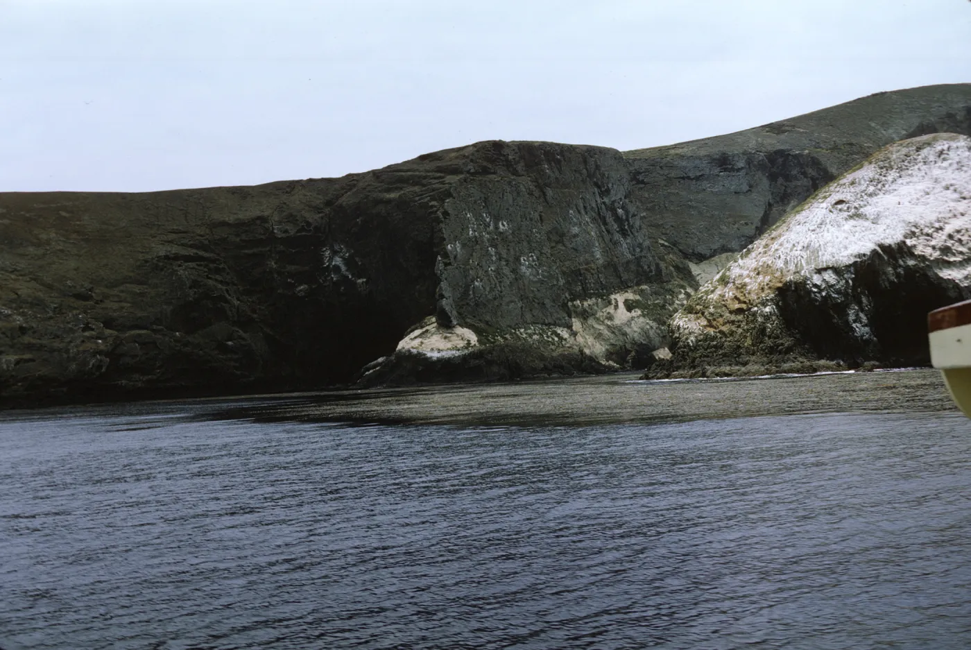 Santa Barbara Island, May 1967