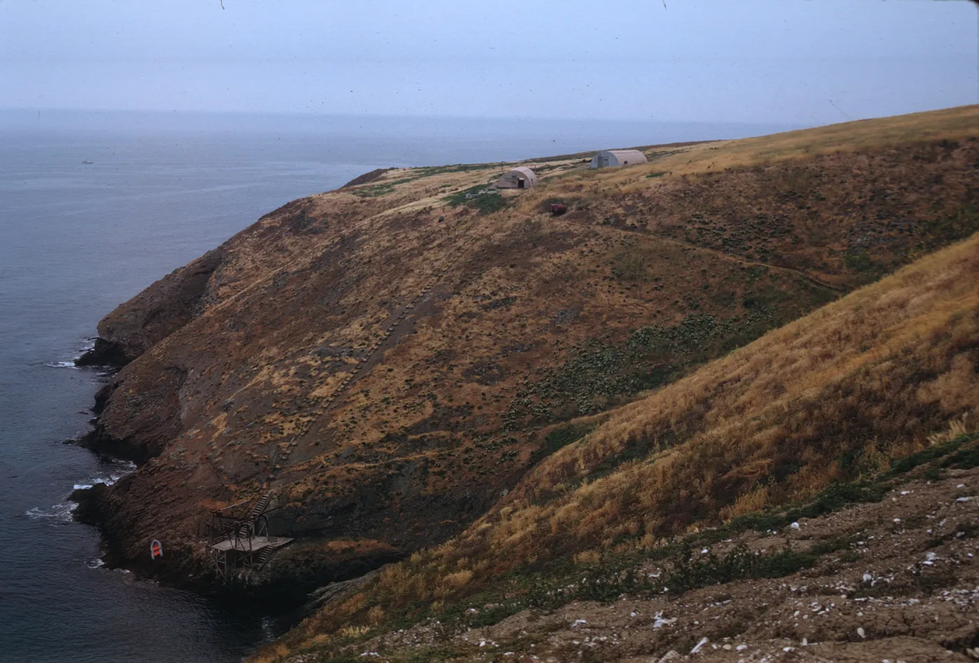 Landing Cove, Santa Barbara Island
