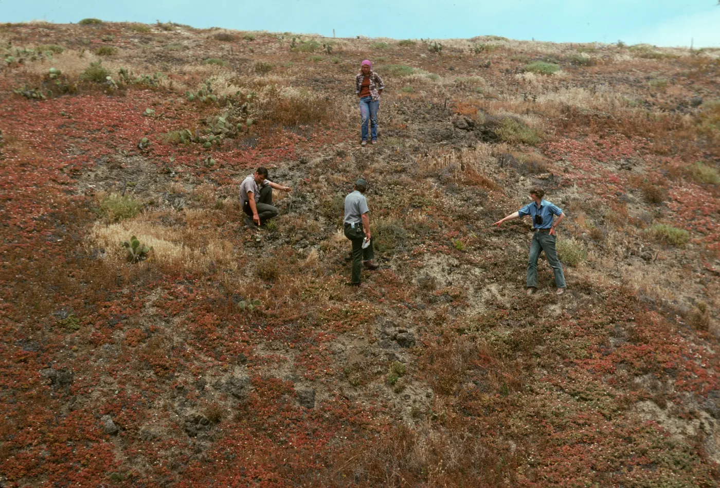 National Park staff on Santa Barbara Island