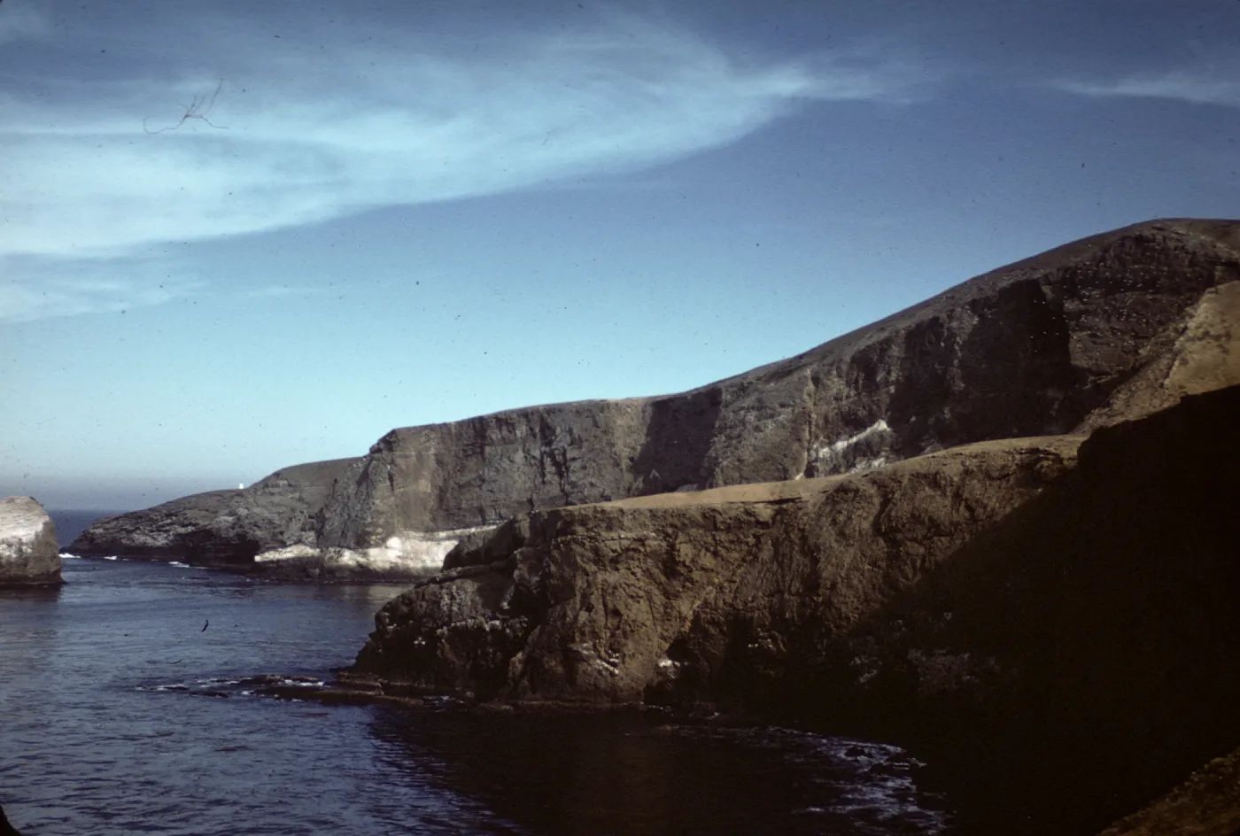 North side of Santa Barbara Island