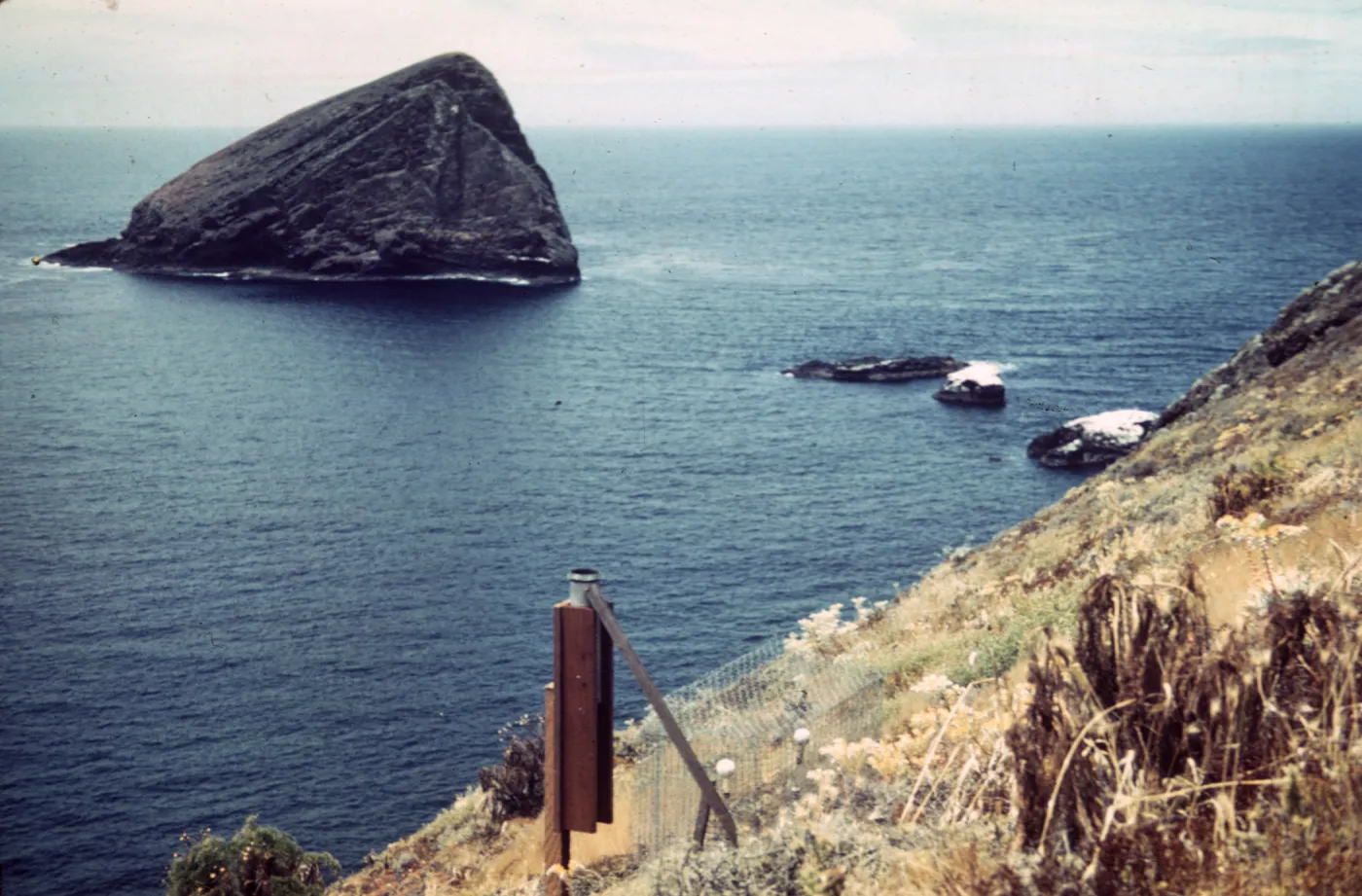 Santa Barbara Island, Station C5, Sutil Island