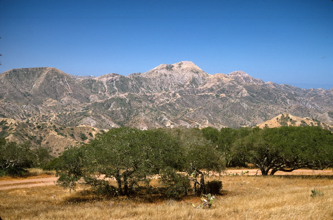 Santa Catalina Island, Mt. Orizaba