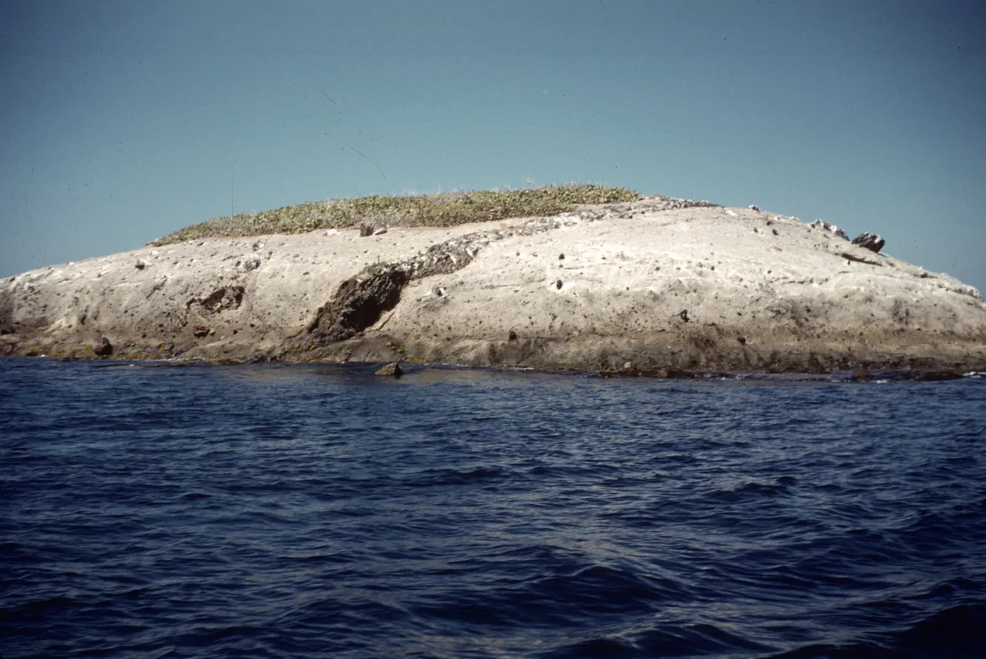 Santa Catalina Island, Bird Rock