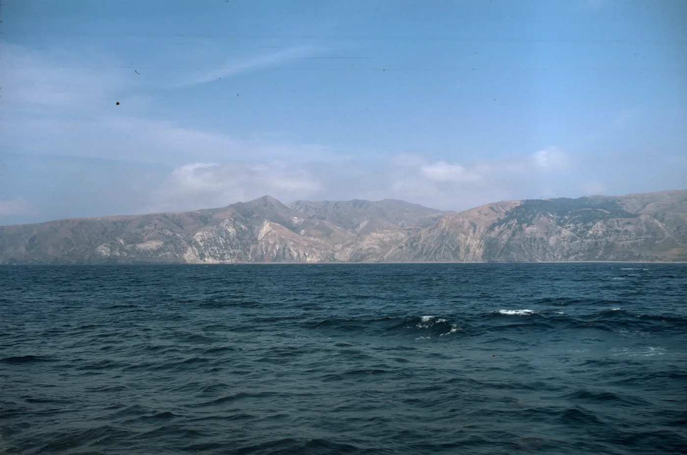 View of Eastern Pines at China Harbor