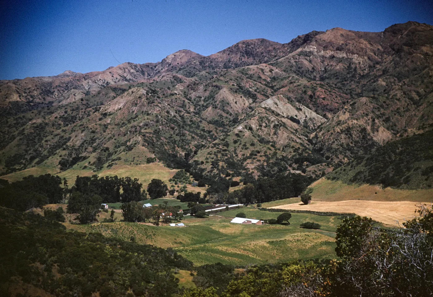 Santa Cruz Island, Stanton Ranch