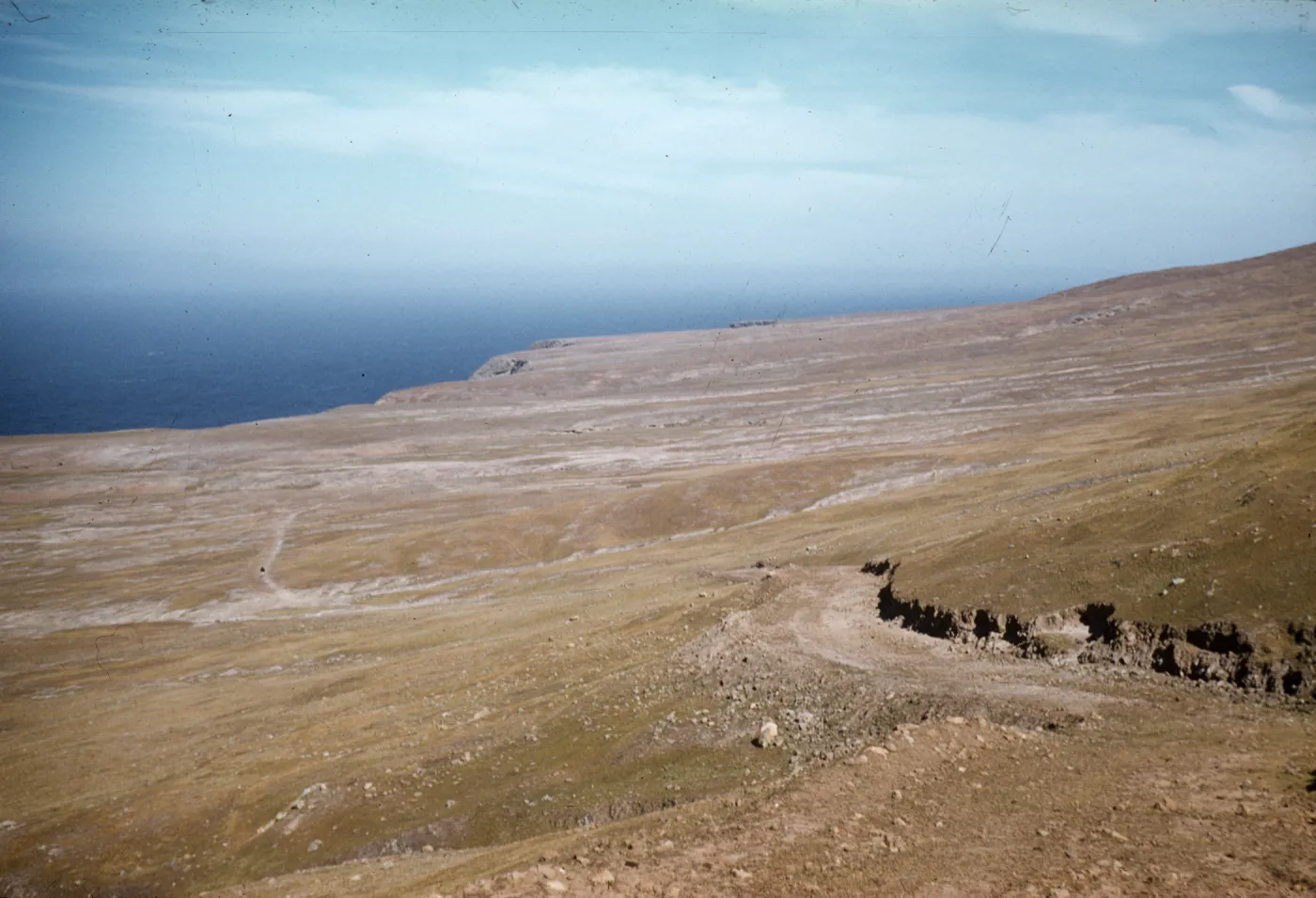 grassy slopes on north side of the central ridge and east of West Point, Santa Cruz Island