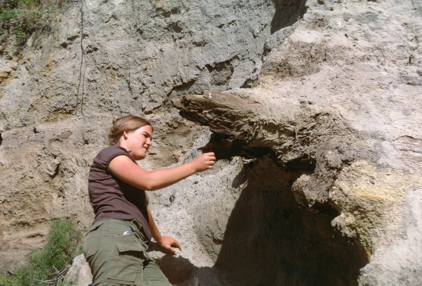 Lauren Philbrick, Canada de los Sauces, Santa Cruz Island